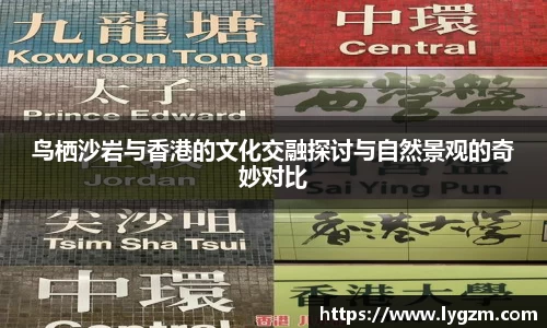 鸟栖沙岩与香港的文化交融探讨与自然景观的奇妙对比